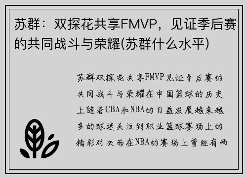 苏群：双探花共享FMVP，见证季后赛的共同战斗与荣耀(苏群什么水平)